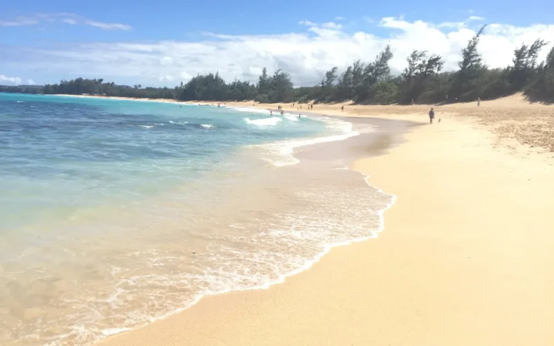 Wide sandy shoreline at Baldwin Beach Park in Pāʻia, Maui