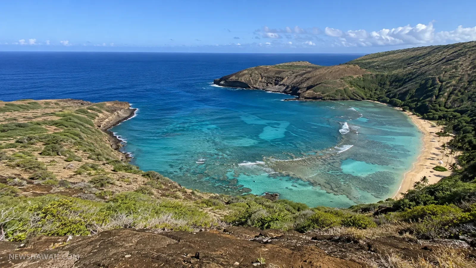 Hanauma Bay seen from the crater rim