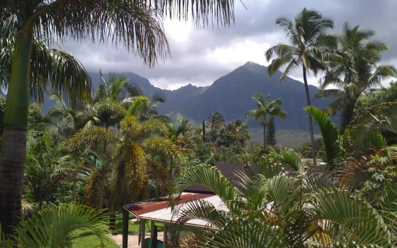 Homes among palm trees below green mountains on Kauaʻi