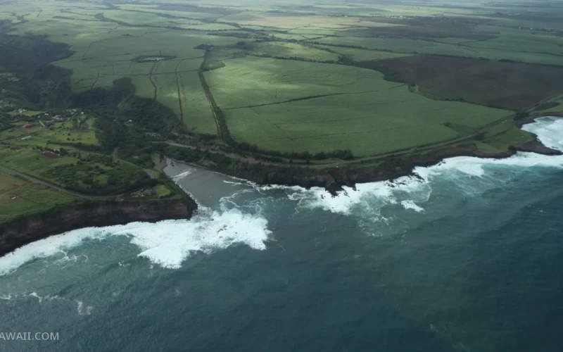 Aerial view of farm fields along the Maui coastline