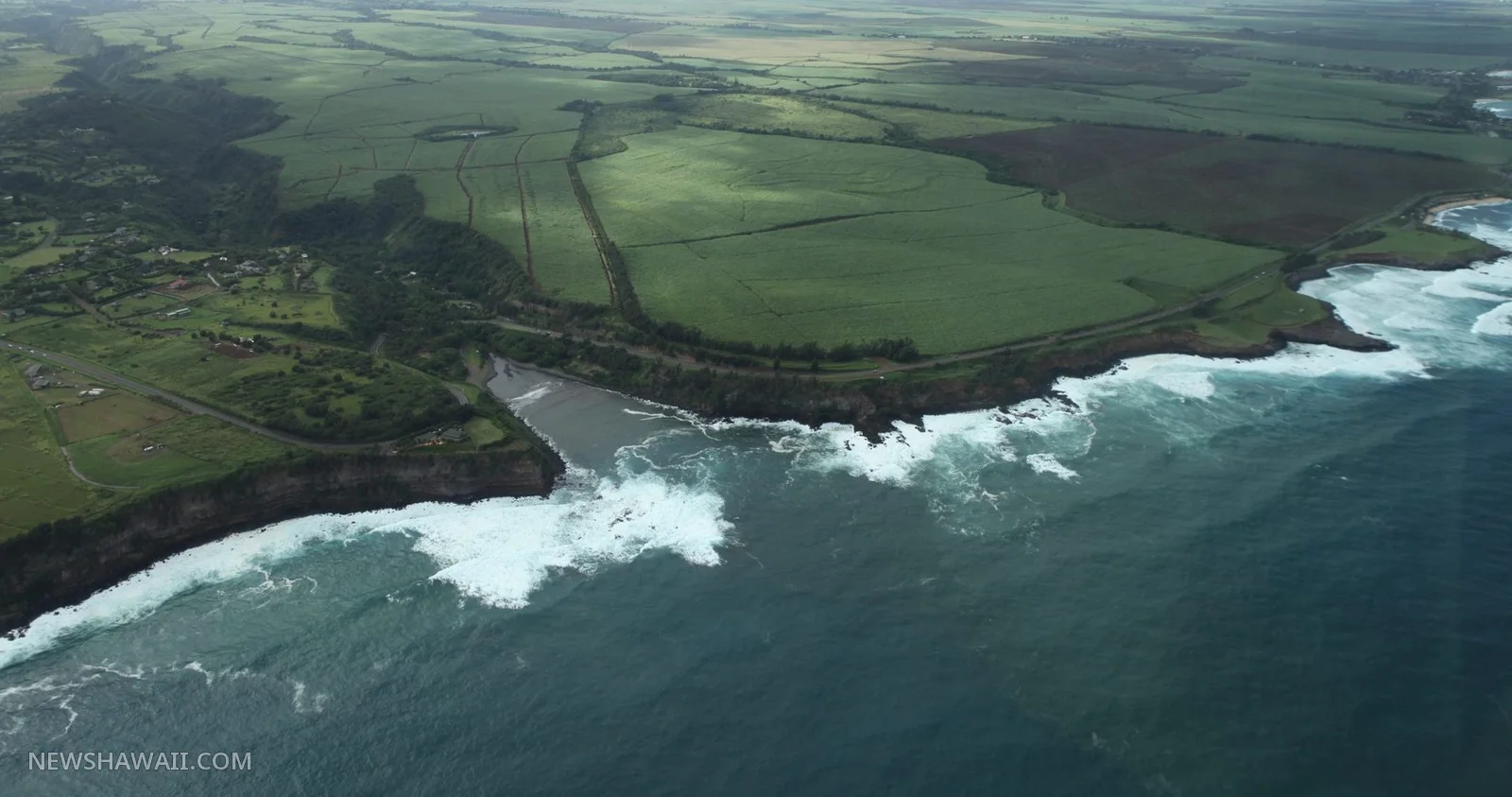 Aerial view of farm fields along the Maui coastline