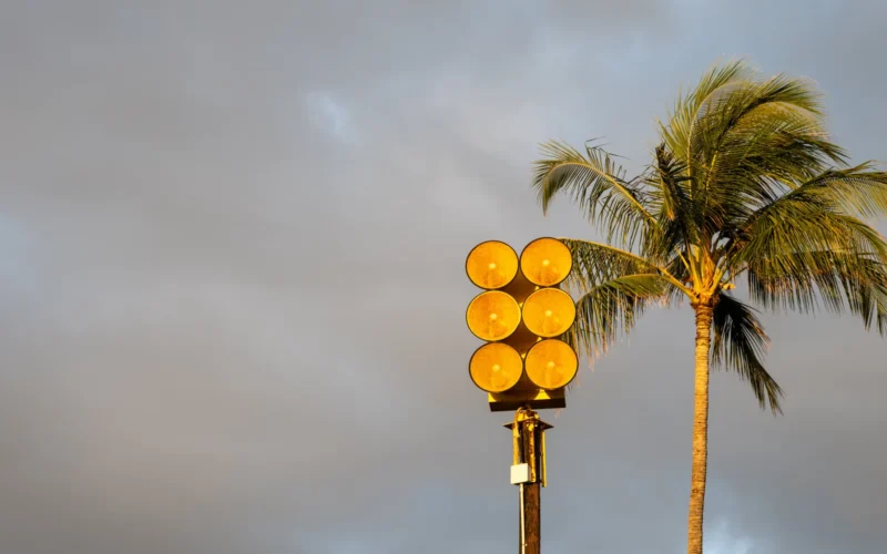 Yellow tsunami warning sirens beside a palm tree on Maui