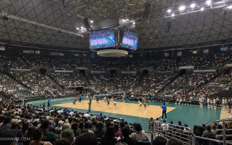 Volleyball match in a packed indoor arena