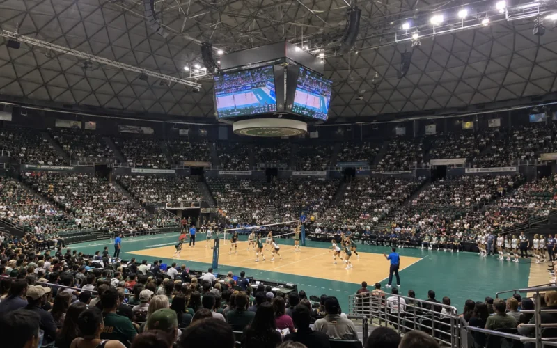 Volleyball match in a packed indoor arena