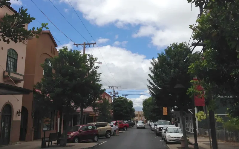 Market Street in Wailuku town, the Maui County seat, lined with trees and shops